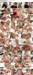 692310_breast_in_charge_big_tab.jpg