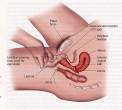gspot1.jpg