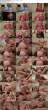 3752976_mlib_taylor_wane03-sd169_tab.jpg