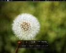 flower.jpeg
