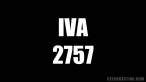 czech-casting-iva.wmv_snapshot_00.03_[2011.11.30_14.53.09].jpg