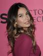 24131_AlessandraAmbrosioMirandaKerrLilyAldridge_2011VictoriasSecretFSparty_291111_115_122_431lo.jpg
