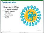 Coronaviridae.jpg