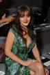 246180169_leighton_meester_7_122_536lo.jpg
