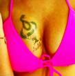68261_a1_123_96lo.jpg