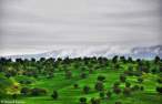 gorgeous_iranian_nature_photos_640_18.jpg