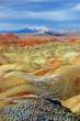 gorgeous_iranian_nature_photos_640_high_45.jpg