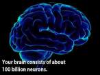 curious_facts_about_our_brain_640_04.jpg