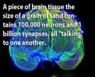 curious_facts_about_our_brain_640_10.jpg