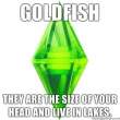 sims10.jpg