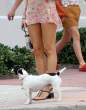 rita_rusic_skirt_up_2.jpg