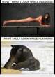 funny-picture-how-i-think-i-look-like-while-planking-how-i-truly-look-while-planking.jpg