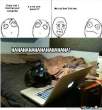 damn-you-cat_o_1063121.jpg