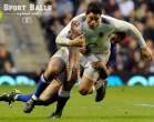 sports-balls-replaced-cats 6.jpg