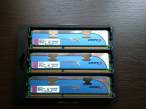 DSC0557.jpg