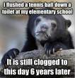 tennis ball.jpg