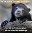 confession-bear-photo-u2.JPG