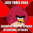 eggs.jpg