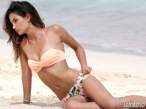 lily-aldridge-poses-in-a-bikini-in-st-barts-06-580x435.jpg