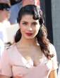 PriyankaChopra_planes_la_premiere_024.jpg
