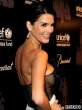 angie-harmon-sideboob-in-see-through-dress-at-unicef-snowflake-ball-06-435x580.jpg
