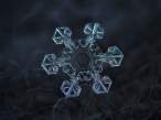 snowflake-closeup2-550x412.jpg