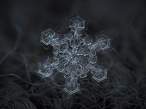 snowflake-closeup5-550x412.jpg