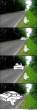 bird-logic_c_699926.jpg