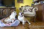 01 IMG_7850 manja.jpg