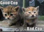 good-cop.gif