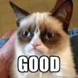 grumpy-cat-good-1.gif