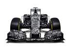 red-bull-rb11-camouflage-2.jpg