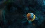 Firefox taking over IE 1920x1200 [by hrwalls.blogspot.com].gif
