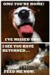 The-difference-between-cats-and-dogs.gif