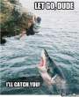you-can-trust-me-im-a-shark_o_732635.jpg