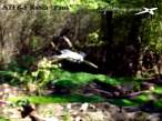 RoSta Pauk24jul13 fl18 08s r.jpg