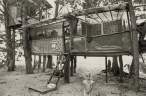hippie-commune-taylor-camp-10.jpg