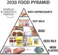 2030 Food Pyramid.jpg