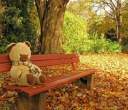 2036543-1024x880-000_bench-teddybear.jpg